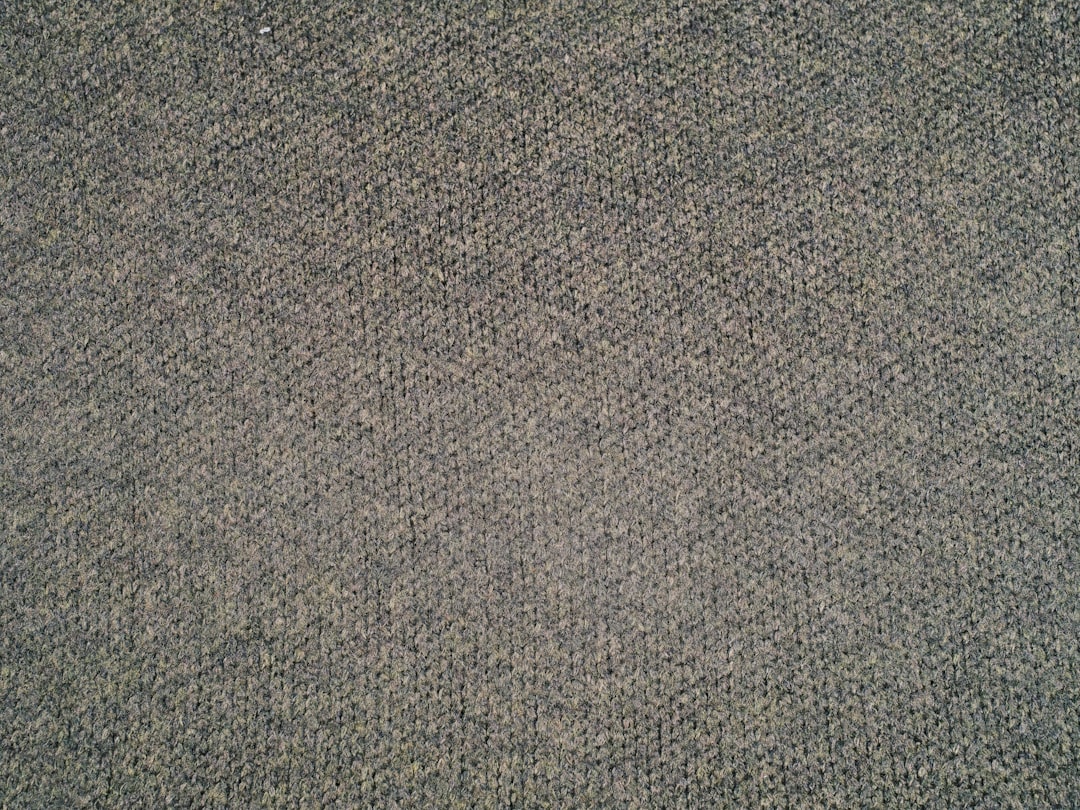 Photo professional carpet cleaning