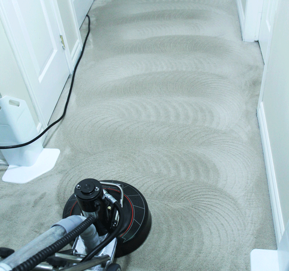 Pickering Carpet Cleaning